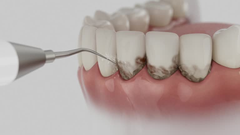 Reliable Dental contractor in Franklin Farm, VA by Dentist Open Now